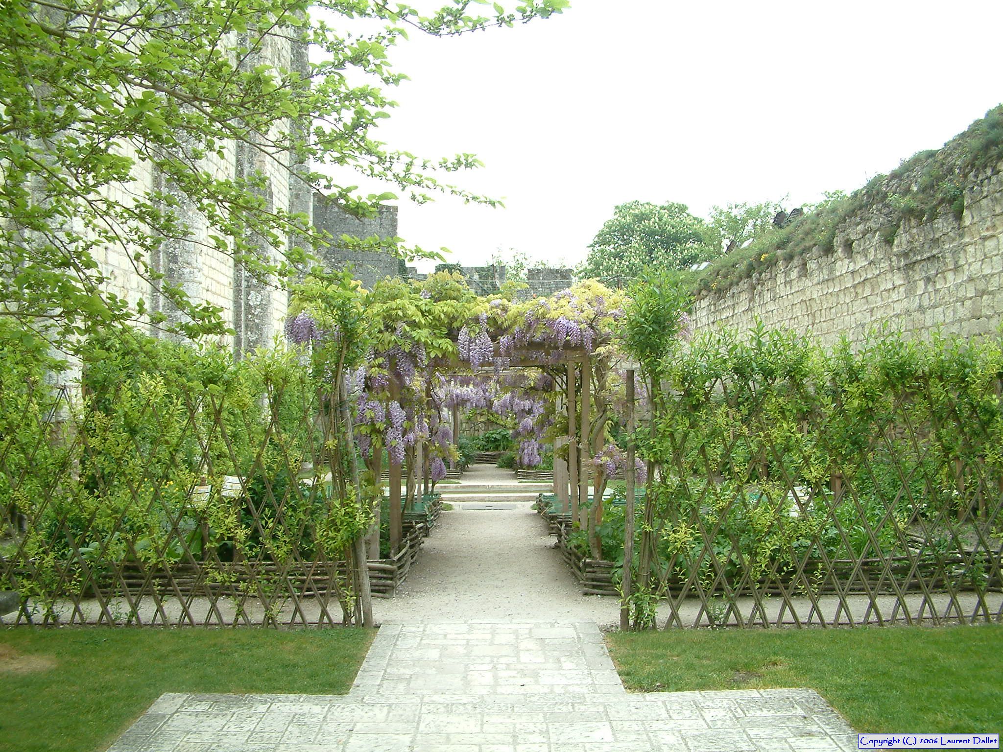 Loire 064